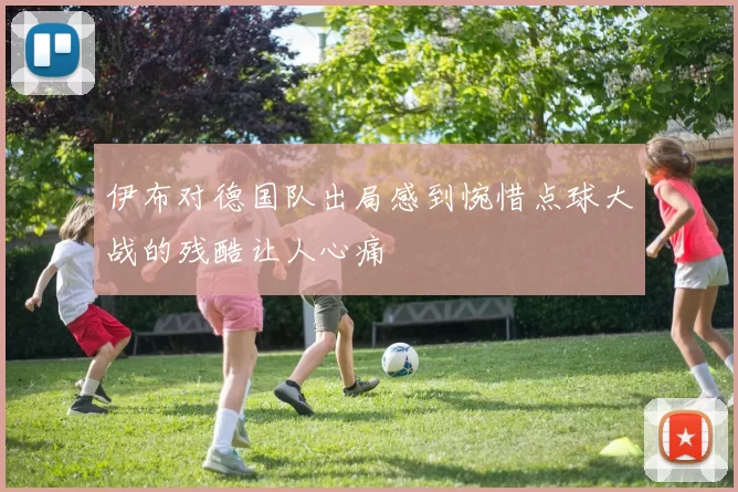 伊布对德国队出局感到惋惜点球大战的残酷让人心痛