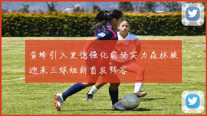 黄蜂引入里德强化前场实力森林狼迎来三球组新首发阵容