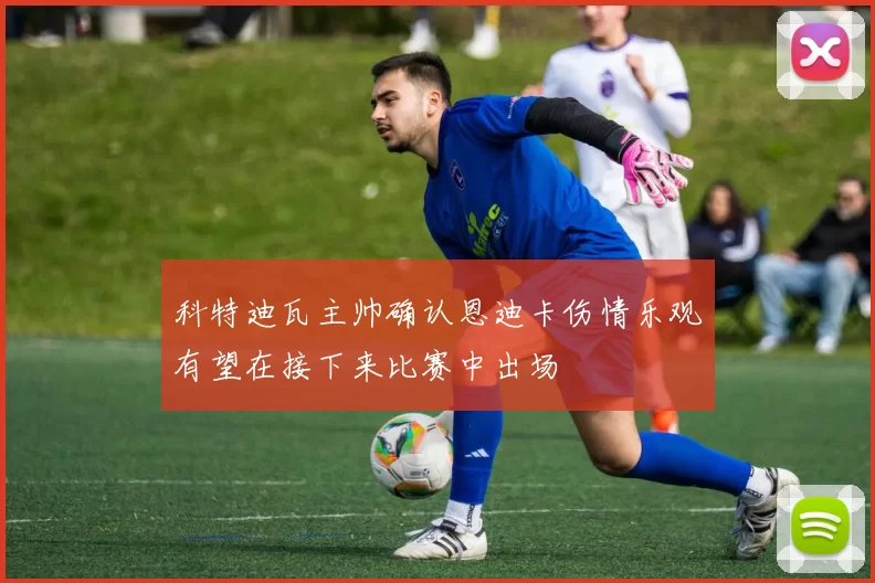 科特迪瓦主帅确认恩迪卡伤情乐观有望在接下来比赛中出场